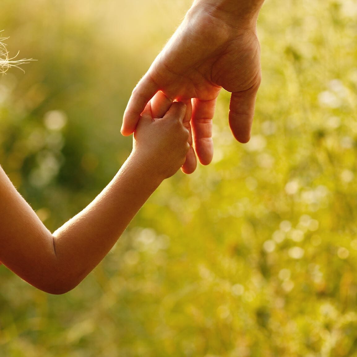 An infant holding the hand of an adult