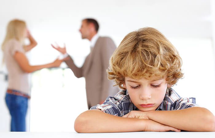 Family Law & Child Custody Investigations